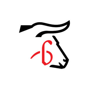 Big Bull Head Logo Bold Bull Logo