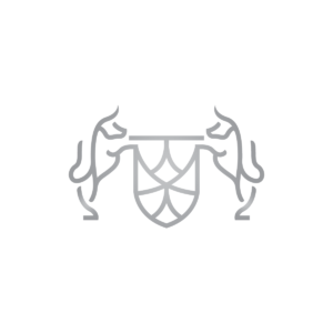 Capital Financial Bull Logo Bulls Logo