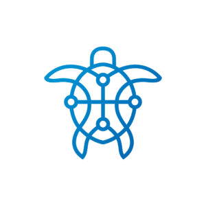Cyber Turtle Logo