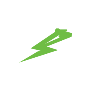 Energy Bear Logo