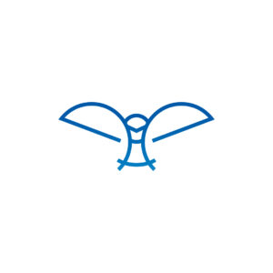 Flying Blue Owl Logo