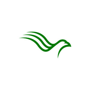 Wavy Green Eagle Logo