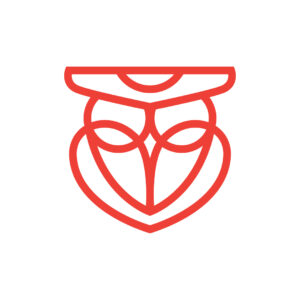 Healthcare Owl Logo