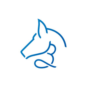B Stallion Logo Equine Logo Blue Horse Logo