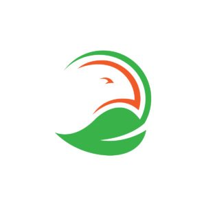 Eco Eagle Logo