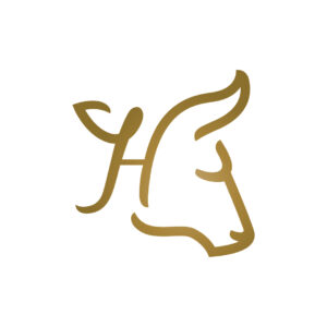 H Taurus Logo Toro Logo