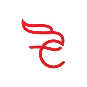 Letter e Hawk Logo Eagle Logo