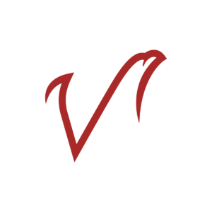 Letter V Falcon Logo