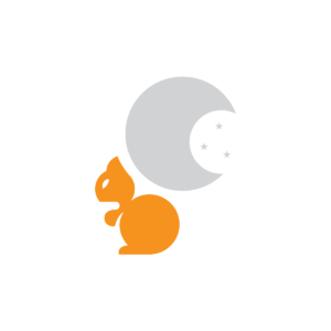 Night Squirrel Logo