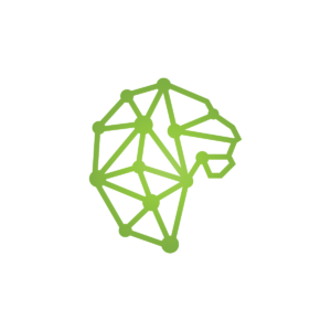 Technology Lion King Logo