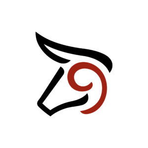 9 Bull Logo Nine Bull Logo