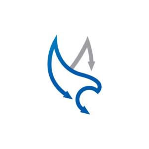 Silver Blue Eagle Logo