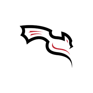 Simple Black Dragon Logo