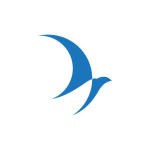 Blue Simple Eagle Logo