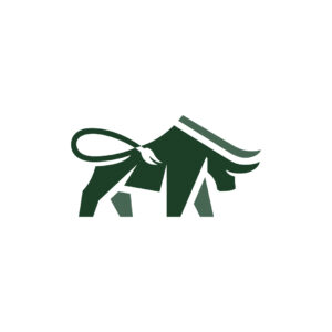 Big Bull Logo