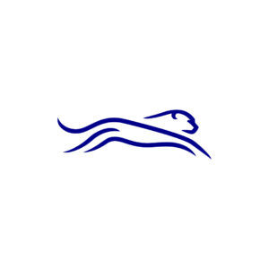 Blue Cheetah Logo