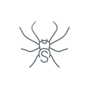 Stylized Spider Logo