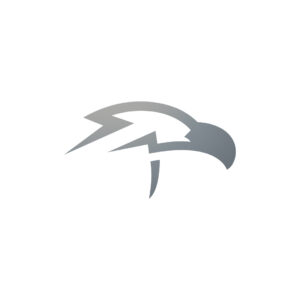 Thunder Hawk Logo
