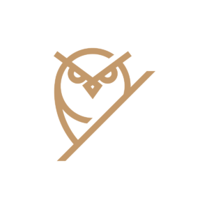 Tough Owl Logo