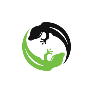 Two Gecko Logo
