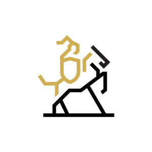 Warrior Logo Warrior On A Horse Logo