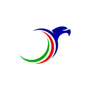 Investment Capital Falcon Logo