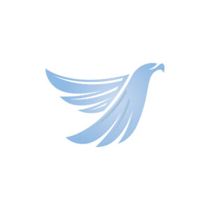 Fly Eagle Logo