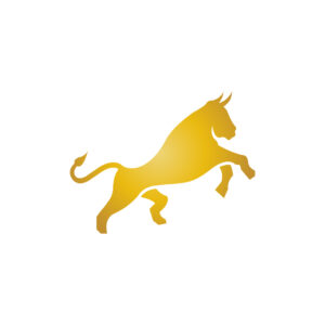 Amazing Toro Logo