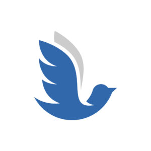 Blue Grey Dove Logo Bird Logo