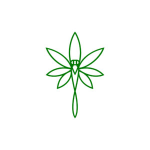 CBD Dragonfly Logo
