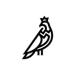 Black Falcon Logo