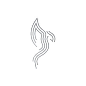 Stylish Silver Phoenix Logo