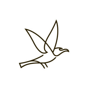 Black Seagull Logo